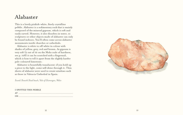 The Pebble Spotters Guide