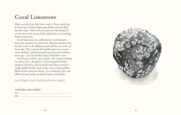 The Pebble Spotters Guide