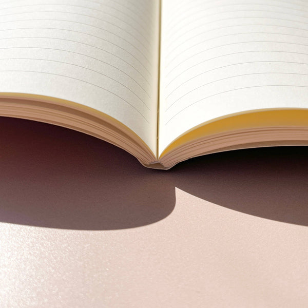 Open book with white pages on a gradient background