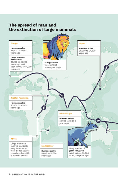 Brilliant Maps in the Wild: A Nature Atlas for Curious Minds