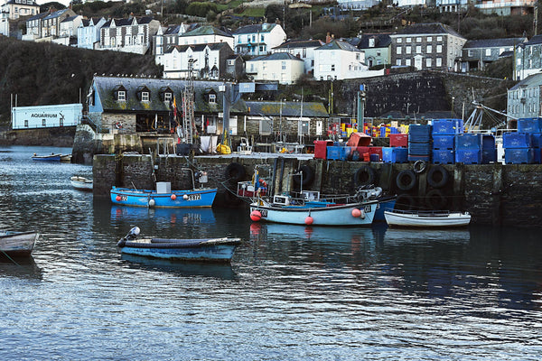 Mevagissey Hand Soap 300ml- Juniper, Earth & Grass